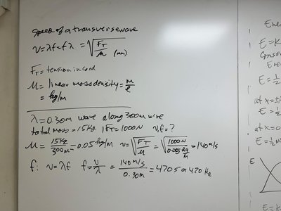 Wave motion, transverse and longitudinal waves, and basic wave parameters
