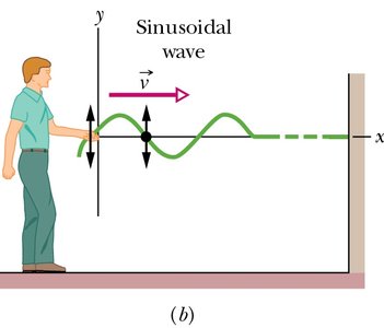 Sinusoidal wave on a taut string