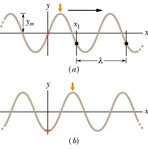 Sinusoidal wave properties: amplitude and wavelength