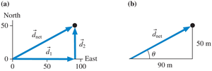 Vector diagram showing Anna's displacement