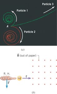Bubble chamber tracks showing particle motion in a magnetic field