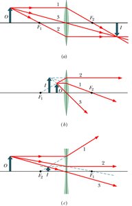 Ray diagrams for thin lenses showing image formation