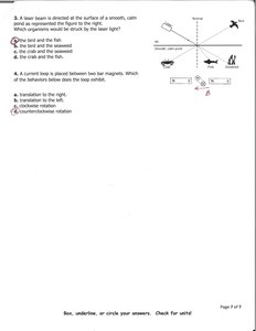 Multiple choice diagrams for waves, light, and magnetism