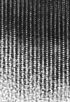 Electron microscope image of mica showing atomic structure