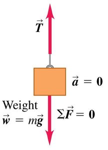 Hanging body in equilibrium: tension and weight