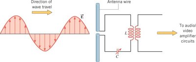 Receiving antenna wire detecting electric field of a radio wave
