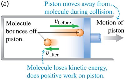 Molecule loses kinetic energy, does positive work on piston during expansion