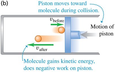 Molecule gains kinetic energy, does negative work on piston during compression