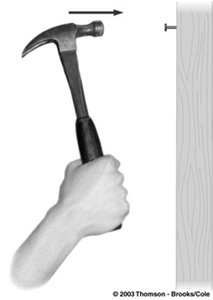 Hammer driving a nail, illustrating kinetic energy