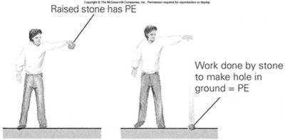 Work done by a falling stone equals its potential energy