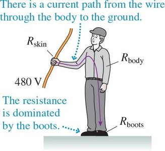 Bird on power line with equivalent circuit
