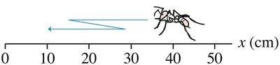 Ant's zig-zag motion illustrating distance and displacement