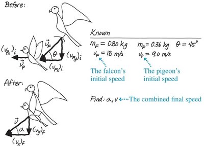 Falcon and pigeon collision diagram