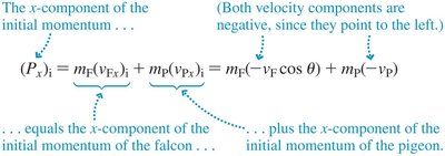 Momentum component calculation for falcon and pigeon