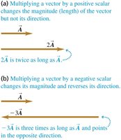 Multiplying vectors by scalars