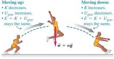 Jumping athlete; mechanical energy conservation