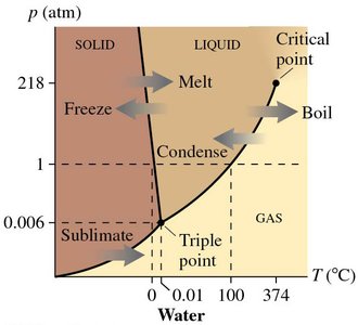 Phase diagram of water