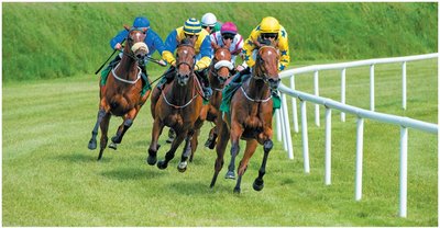 Horse racing on a curved track, illustrating circular motion