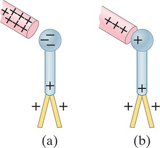 Electroscope charged by conduction or induction
