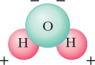 Water molecule as a polar molecule