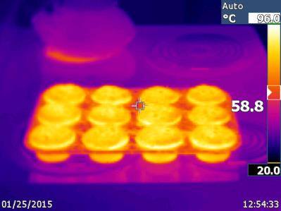 Thermal image showing temperature distribution of objects