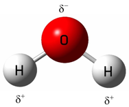 Water molecule as an electric dipole