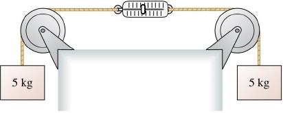 Pulley system with two 5 kg masses and a spring scale