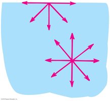 Molecular attractions causing surface tension