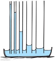 Capillary rise in tubes of different diameters