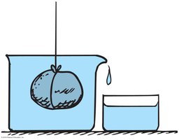 Stone displacing water in a container