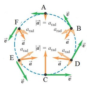 Circular motion: match points to speed changes