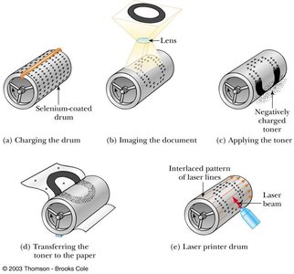 Steps in xerographic and laser printing process