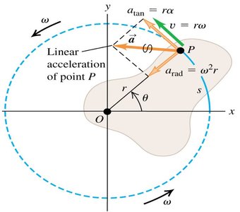 Diagram showing linear and angular quantities for a rotating rigid body