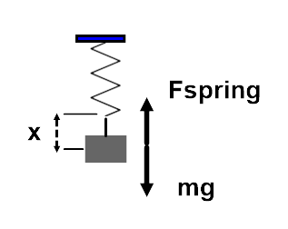 Vertical spring force diagram