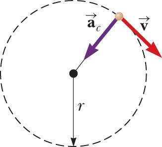 Centripetal acceleration and velocity in circular motion