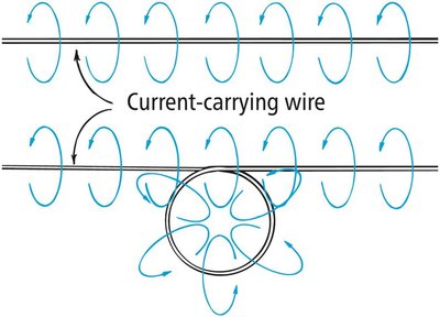 Magnetic field around a current-carrying wire