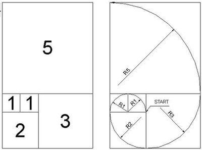 Fibonacci spiral construction