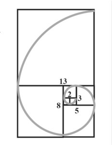 Fibonacci spiral with squares