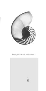 Golden spiral in rectangle