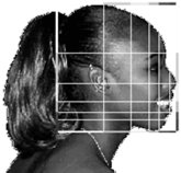 Golden ratio in human face proportions