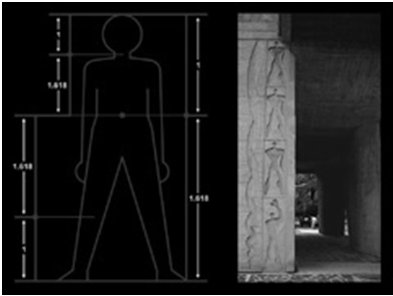 Human figure divided by phi