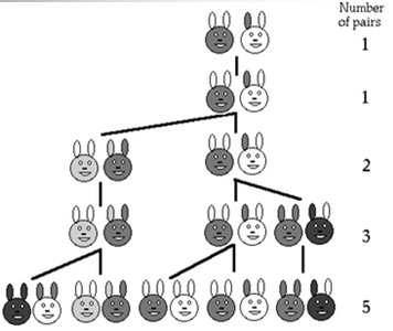 Fibonacci rabbit pairs diagram