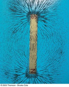 Iron filings showing magnetic field lines around a bar magnet