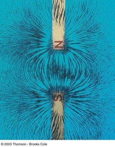 Iron filings showing field lines between unlike poles