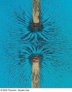 Iron filings showing field lines between like poles