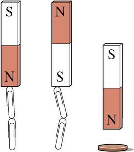Magnet attracting paper clips