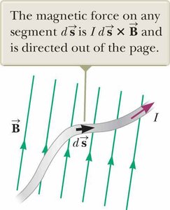 Magnetic force on a wire segment in a magnetic field