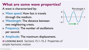 Wave properties: speed, wavelength, frequency, amplitude