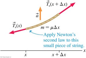 Applying Newton's second law to a string segment