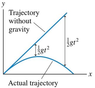 Arrow and coconut: effect of gravity on both objects